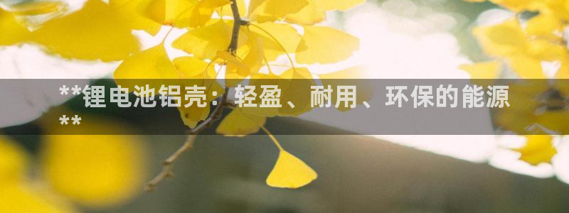 凯时k66会员登录：**锂电池铝壳：轻盈、耐用、环保的能源
**