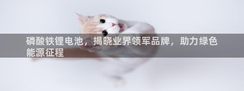 尊龙人生就是博中国区：磷酸铁锂电池，揭晓业界领军品牌，助力绿色
能源征程