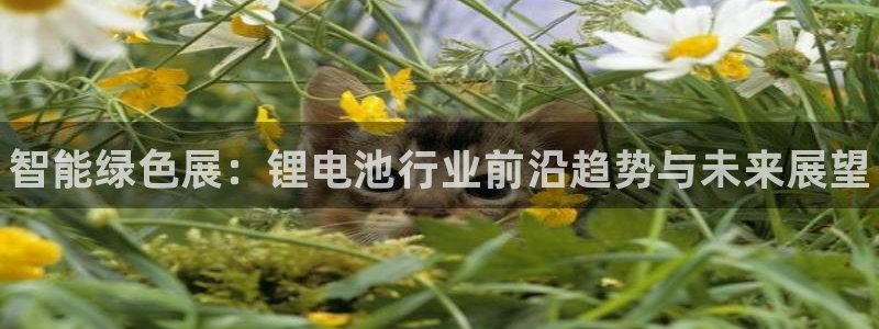 尊龙ag旗舰厅下载