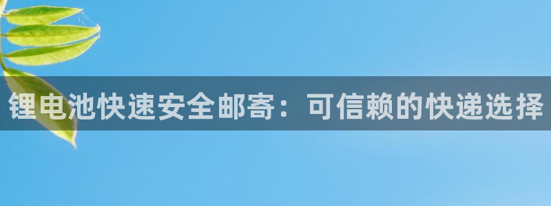 尊龙集团官网：锂电池快速安全邮寄：可信赖的快递选择