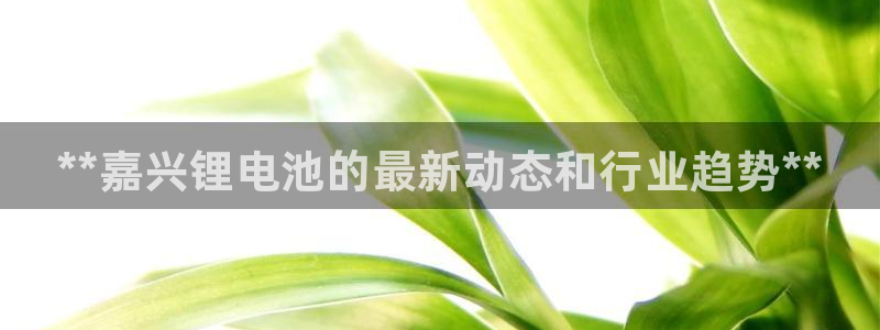 z6尊龙凯时ag旗舰厅：**嘉兴锂电池的最新动态和行业趋势**