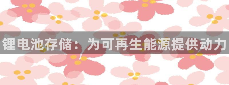 尊龙凯时的生产设备：锂电池存储：为可再生能源提供动力