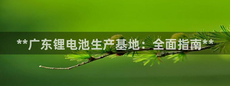 尊龙版末代皇帝：**广东锂电池生产基地：全面指南**