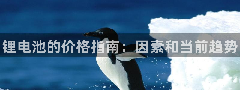 尊龙凯时 人生就是搏首页：锂电池的价格指南：因素和当前趋势