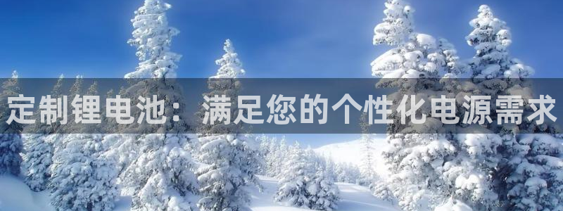 尊龙t300和t400哪个好：定制锂电池：满足您的个性化电源需求