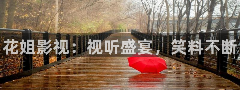首播影院免费看电影：花姐影视：视听盛宴，笑料不断