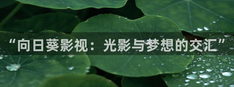 万利达影院首播影院高清影院：“向日葵影视：光影与梦想的交汇”