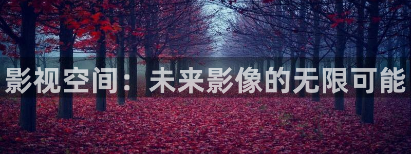yy首播影院：影视空间：未来影像的无限可能