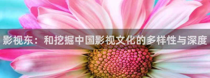yy首播影院网站：影视东：和挖掘中国影视文化的多样性与深度