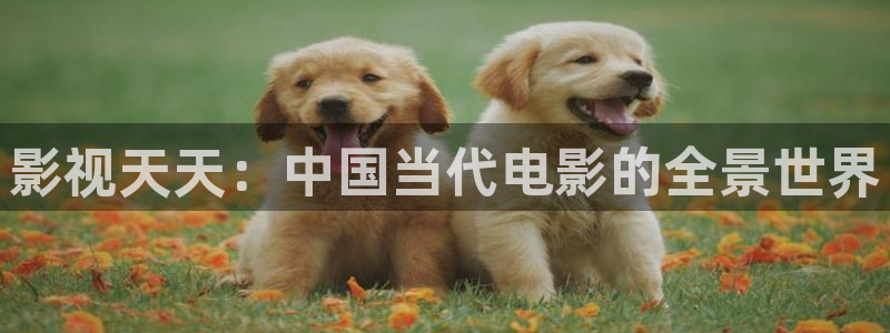 yy 4480首播影院：影视天天：中国当代电影的全景世界