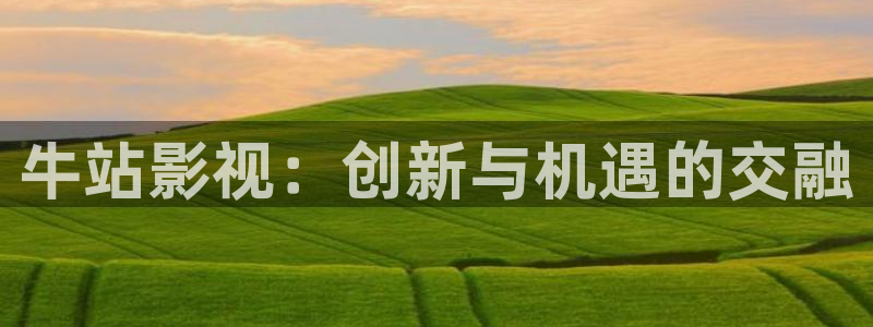 首播影院网：牛站影视：创新与机遇的交融